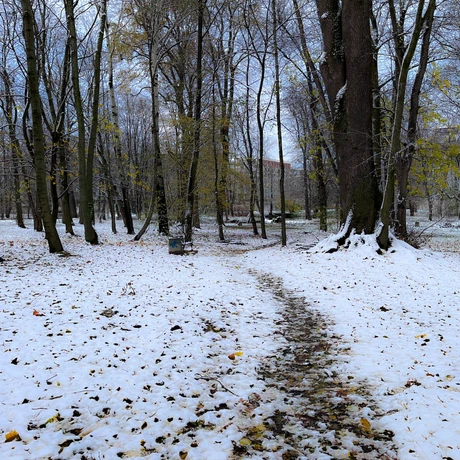 Zima 2023. Pierwszy śnieg w Rzeszowie [Park im. Szafera] - fot 3